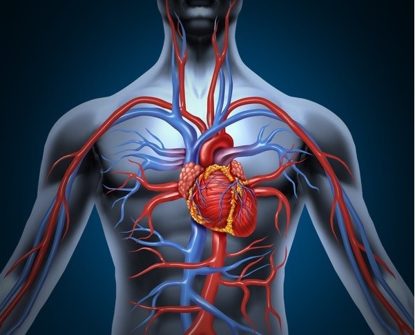 Vascular Care Vascular Care